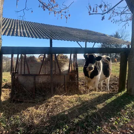 Ranch House - Casa Fronte Maneggio In Collina Feriehus