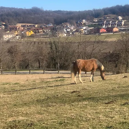 Ranch House - Casa Fronte Maneggio In Collina Feriehus