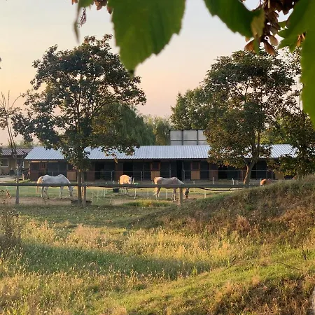 Feriehus Ranch House - Casa Fronte Maneggio In Collina Pocapaglia